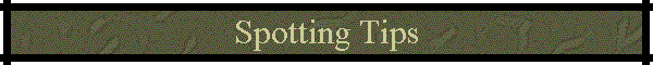Spotting Tips