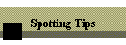 Spotting Tips